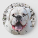 Recherche de bouledogues horloges Animal