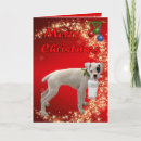 Search for boxer christmas cards Xmas