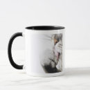 Search for animal body part mugs Studio shot