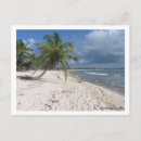 Recherche de riviera maya cartes postales Sable