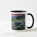 Recherche de virgin mugs Paysage