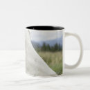 Search for branding cattle home living Farm
