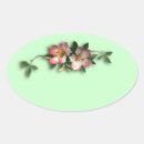 Search for coral background stickers Floral