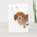 Search for dachshund easter cards Dog