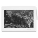 Search for big bear Photograph