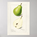 Search for leaf vegetable posters Green