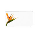 Search for bird of paradise return address labels Elegant