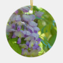 Recherche de glycines ornements Fleur