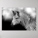Search for foals posters Beautiful