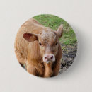 Recherche de vache mignonne badges Bétail