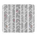 Search for cardinals on birch trees Winter