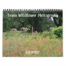 Search for texas photography Wildflower