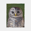 Search for barn owl blankets Cute