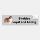 Recherche de sheltie voiture autocollants Chien de berger