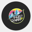 Search for snow ski stickers Carve