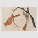 Search for cardinal tissue paper Decoupage