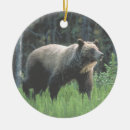 Search for grizzly bear ornaments Bears