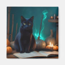 Search for spooky cat magnets Fun