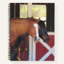 Search for horse pictures notebooks Horses