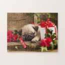 Search for dog breeds puzzles Birthday