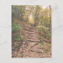 Search for stair postcards Photography