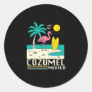 Search for cozumel mexico stickers Sand