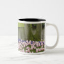 Search for hyacinth flower mugs Garden