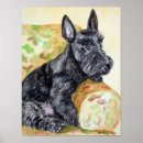 Search for scottish terrier posters Pets
