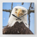 Search for faced art Wildlife