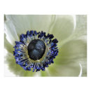 Recherche de panda bleu posters Floral