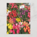 Recherche de fleurs de tulipe cartes postales Floral