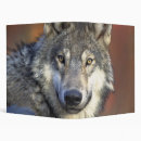 Search for wolf binders Dog