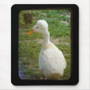 Search for waterfowl electronics White