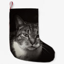 Search for tabby cat christmas stockings Black