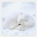 Search for arctic tundra stickers Winter