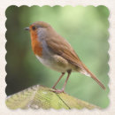 Recherche de robin dessous de verres Amoureux des oiseaux