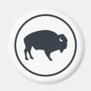 Search for buffaloes magnets Hunt
