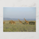 Search for topic postcards Tranquil scene