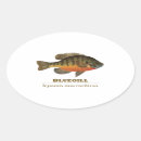 Recherche de poissons du soleil Pêche à la ligne