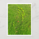 Recherche de herbe verte cartes postales Minimaliste