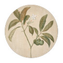 Recherche de motif décoratif planches à découper Panneau