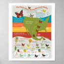Recherche de migration posters Papillon