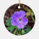 Search for geranium ornaments Garden