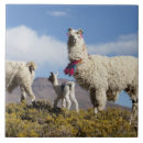 Search for herd tiles Animal