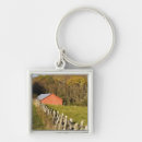 Search for rural keychains Forest