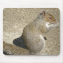 Search for grey fur mousepads Adorable