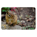 Recherche de repas magnets Animal