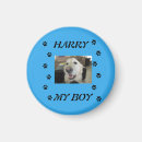 Recherche de patte de chien magnets Pattes
