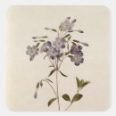 Search for pierre joseph redoute stickers Botanical