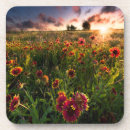 Search for blankets coasters Flower